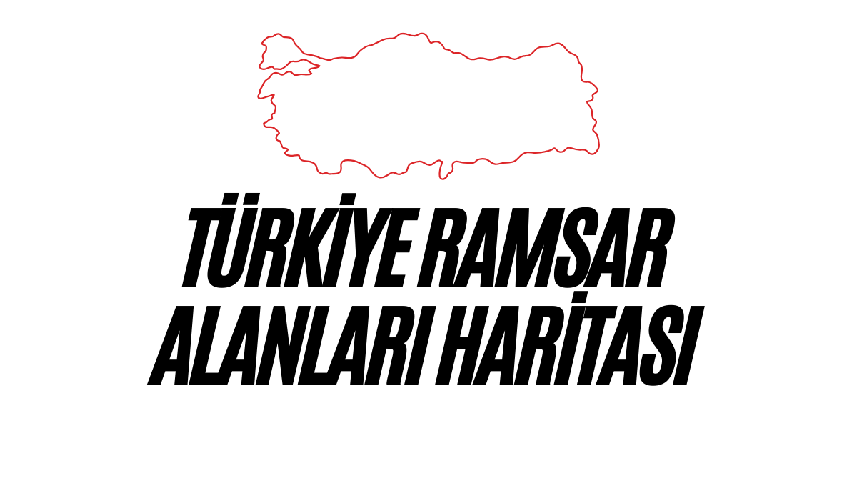 Türkiye Ramsar Alanları Haritası ve Önemli Sulak Alanlar